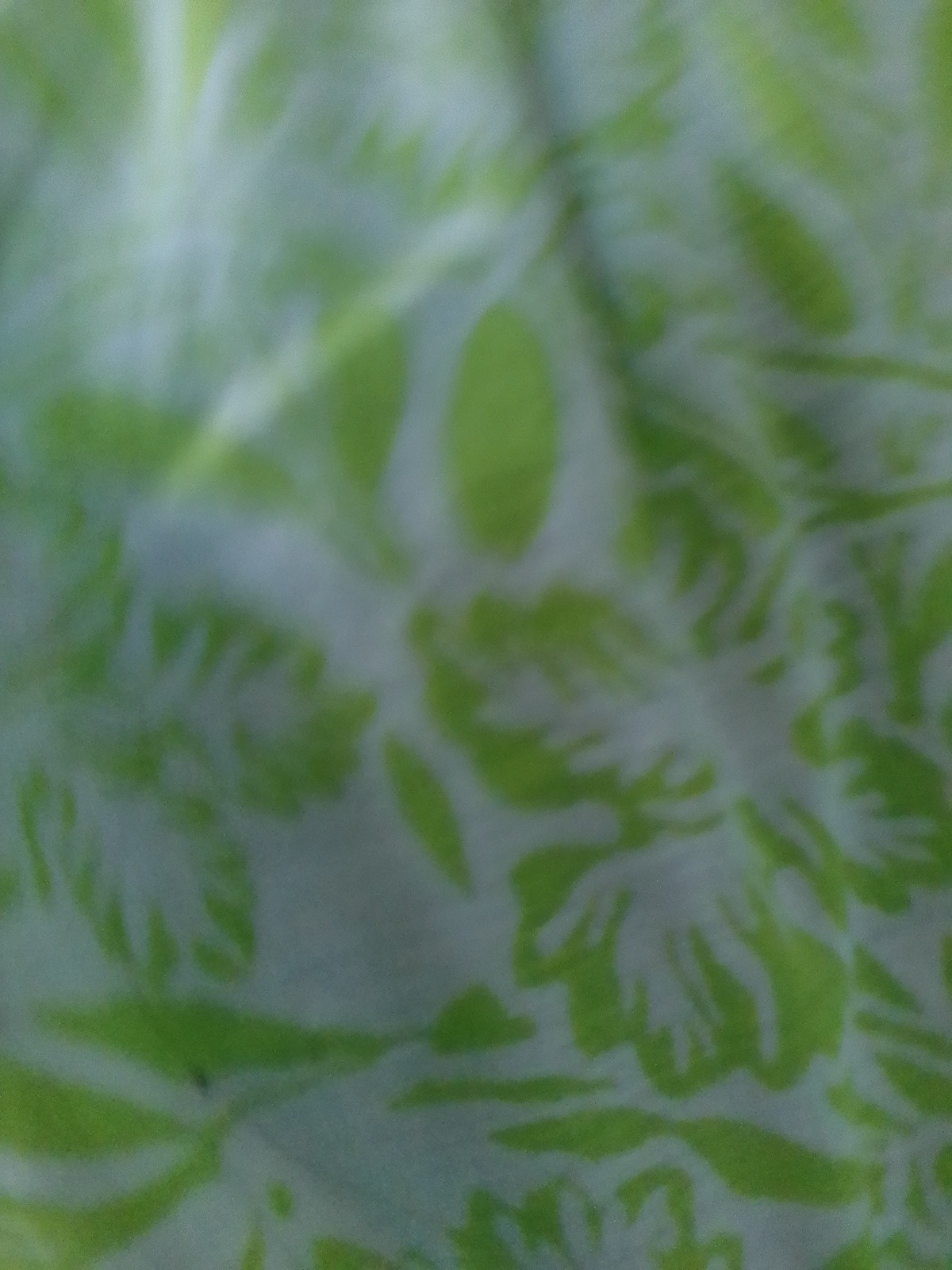 Picture 6 of 6