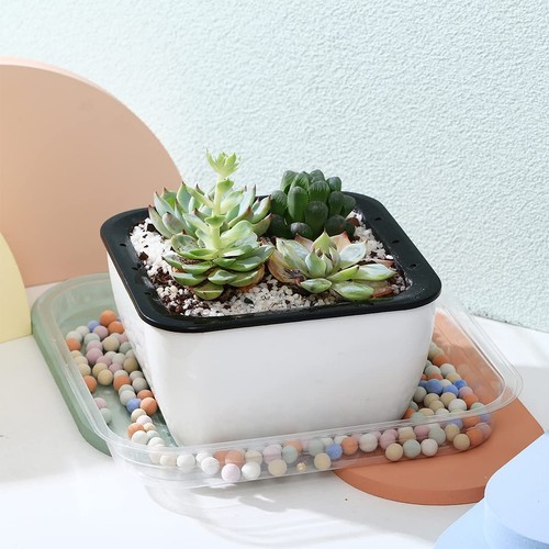 30 Pack Square Plant Saucer Plant Trays for Pots 4/6/8/10/12 Inch Plant Sauce... - Picture 2 of 7