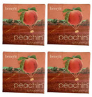 (4 Pack) Benefit Peachin Golden Beach Blush 0.21 Oz, Adds warmth and dimension