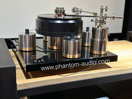 J.Sikora Refrence Turntable High End Audiophile Record Player - Picture 13 of 13