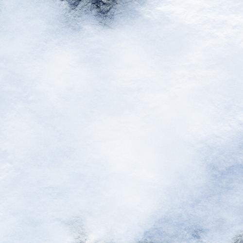 Tapis FLG : neige 3 - Photo 4 sur 14