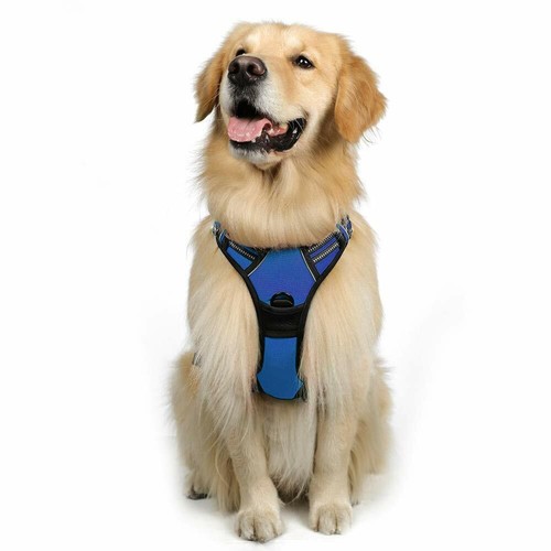 rabbitgoo No-Pull Pet Dog Harness with Handle Adjustable Reflective Padded Vest - Picture 16 of 30