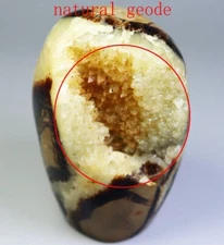 Natural Dragon Septarian Calcite Geode QUARTZ Crystal Free-form Stone Healing