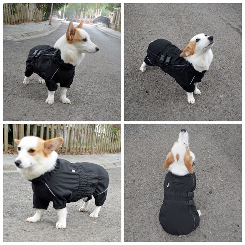Dogs Waterproof Jacket, Lightweight Dog Raincoat, Windproof Snow-Proof Dog Vest - Picture 9 of 53