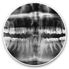 2 x Vinyl Stickers 20cm (bw) - Dental Teeth X-Ray Dentist Dental  #42795