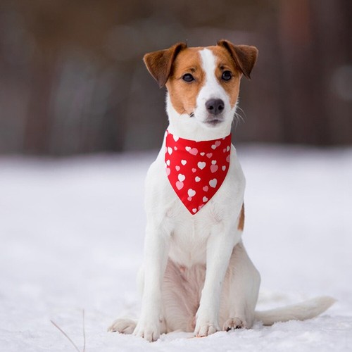 Bandana cane animale domestico sciarpa triangolo collo sciarpa fazzoletto da collo per cucciolo gatto fornitura animali domestici - Foto 2 di 17