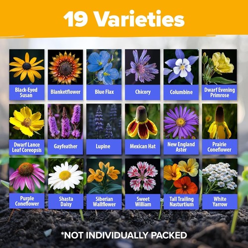 HOME GROWN 63,200+ Wildflower Seeds Bulk: (4oz) Perennial Wild 4 oz, Multi - Picture 7 of 8
