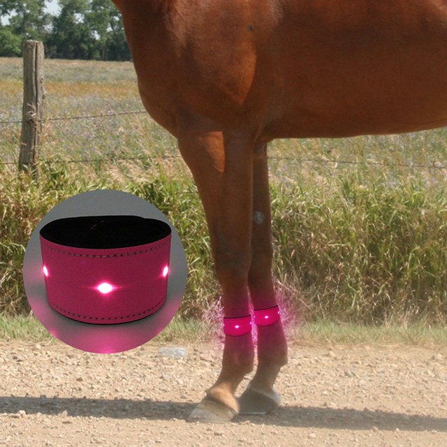 Equestrian LED Luminous Horse Leg Strap Horse Riding Equipment Safety Warning Equestrian LED Luminous Horse Leg Strap Horse Riding Equipment Safety Warning