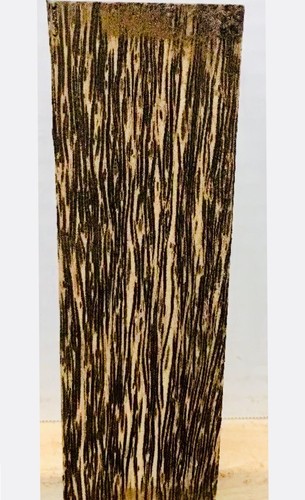 Black Palm Turning Blank 2x 2x 6 Spindle Wood Block for Lathe- Free US Shipping - Picture 4 of 4