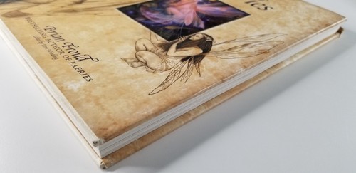Good Faeries/Bad Faeries by Brian Froud: - Picture 2 of 5