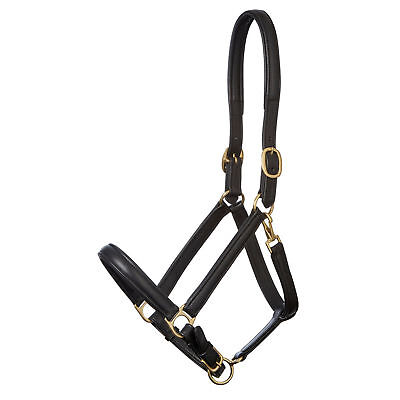 Cob Stallion Soft Padded Leather Headcollar Fully Adjustable Full Pony