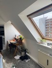 Bild 2 von 15