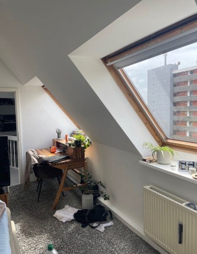 WG Zimmer Berlin Spandau - Bild 2 von 15