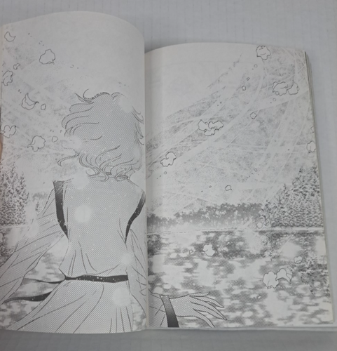 Sailor Moon (Pretty Guardian) 10 Naoko Takeuchi Kodansha Comics English - Bild 17 von 24