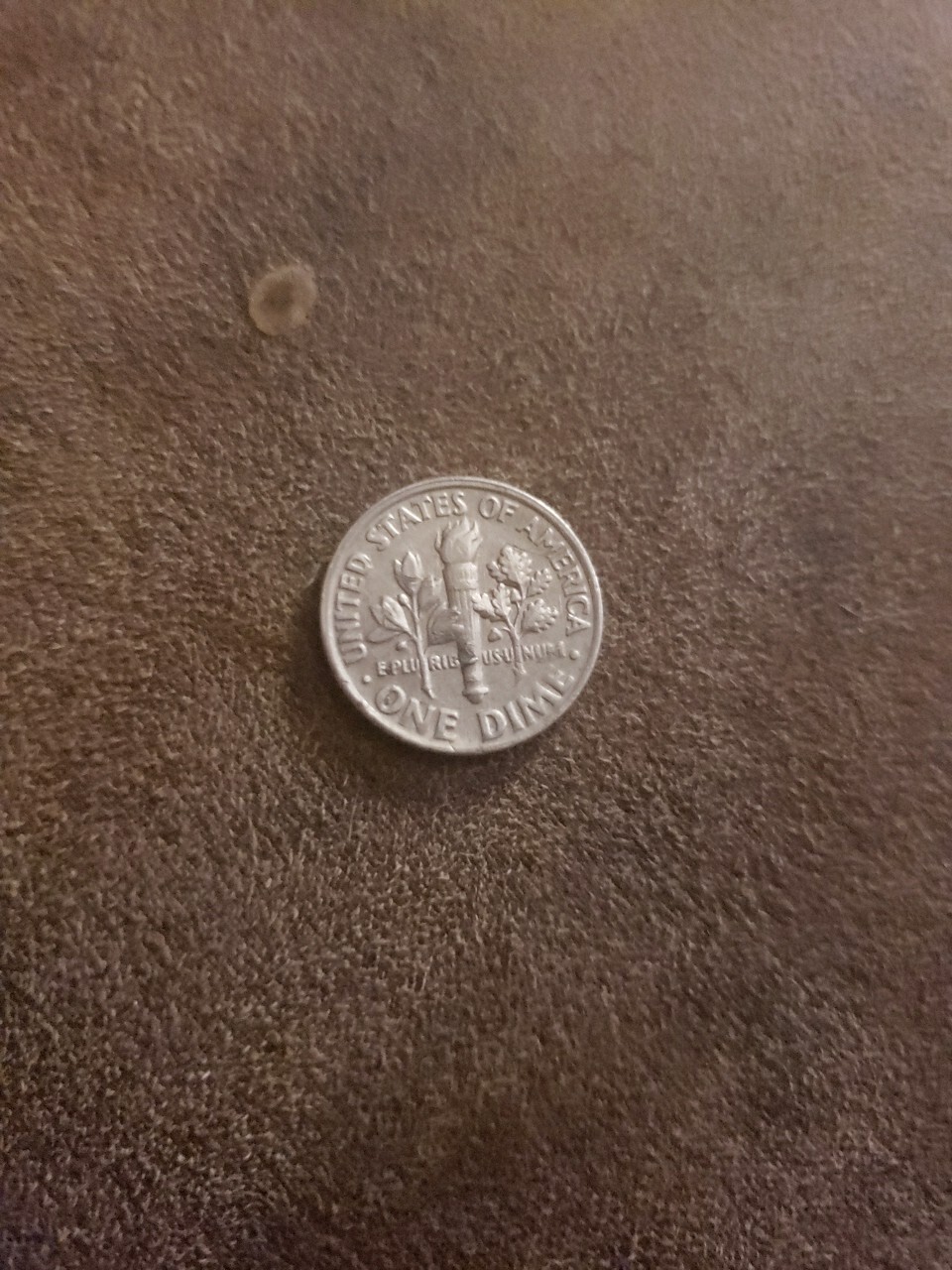 Picture 6 of 6
