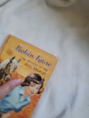Robin Kane The Mystery Of The Blue Pelican by Eileen Hill 1966 - Picture 11 of 14