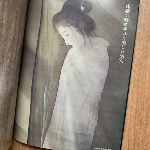Geistergemälde und die Unterwelt Ukiyo-e Kunstwerke Fotobuch Japan Okyo Maruya - Bild 7 von 24