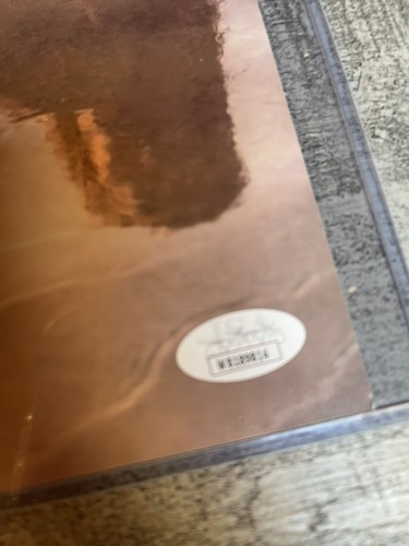 FOTO SEXY DE KELLY KELLY FIRMADA A MANO COMO NUEVA BRILLANTE 8X10 CERTIFICADO DE AUTENTICIDAD JSA WWE WWF. - Imagen 3 de 5