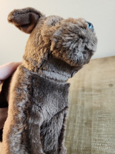 American Girl Welpe Hund BKB81 braun Labor Plüsch stehend beweglich Puppe 2014 - Bild 9 von 10