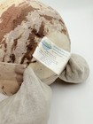 Bild 8 von 9
