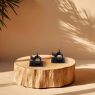 Afbeelding 10 van 12