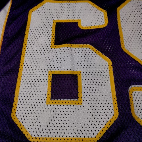 Minnesota Vikings Jared Allen Jersey Reebok Men Small Purple Blank Front NFL #69 - Picture 19 of 24