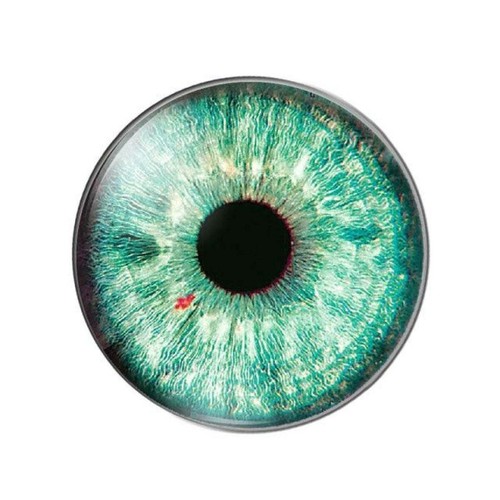 10pcs Round Glass Doll Eyes 10mm-25mm Cabochons Orange Yellow Green Purple Blue - Bild 11 von 24