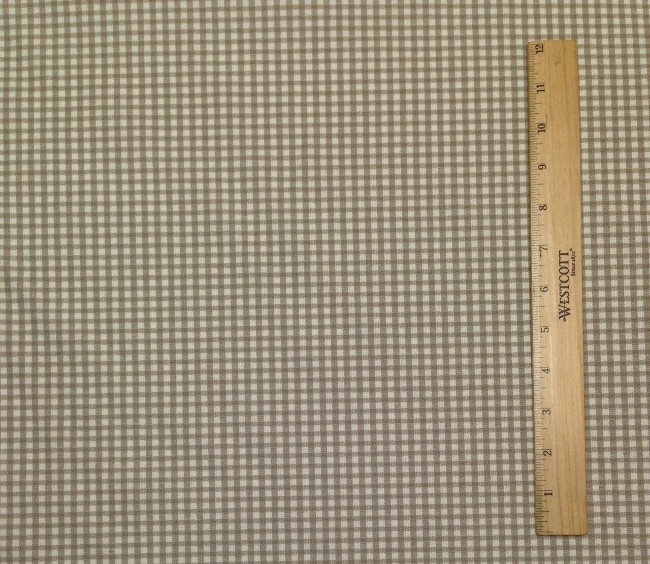 Foto 2 di 5