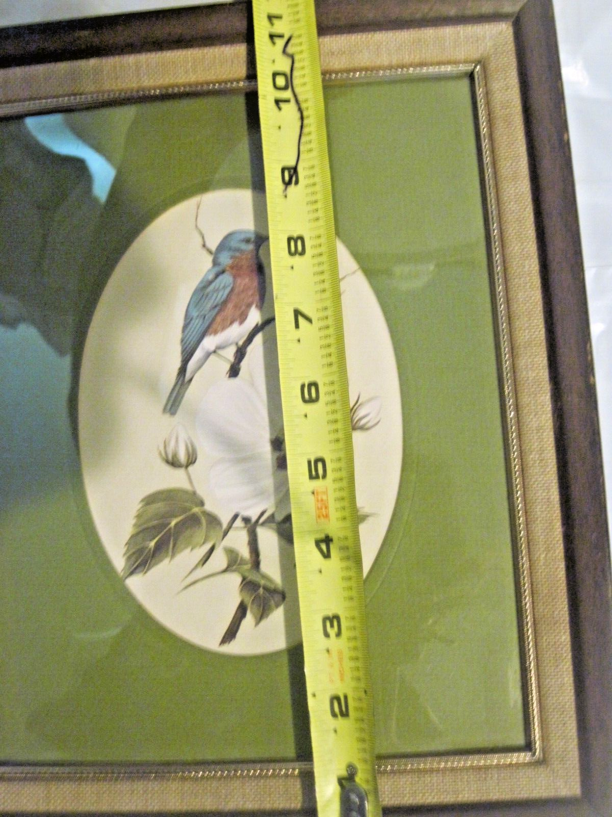 Picture 7 of 7