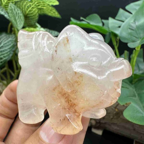 1pc Natural fire Quartz carved Crystal fly pig skull healing Reiki - Picture 5 of 16