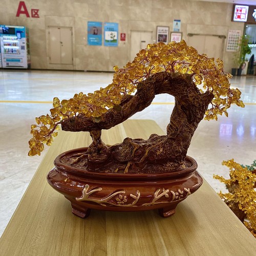 3.58LB Zhaocai Tree Wealth Attraction Crystal Tree Quartz Home Decoration - 第 8/13 張圖片