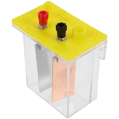Salt Box Science Project Fruit Potato Experiment Kit - Picture 10 of 12