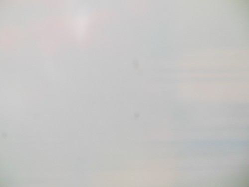 BEAUTIFUL COLORFUL HORIZONTAL 3-D HOLOGRAM TULIP PRINT 13 1/2" X 9 1/2" - Picture 9 of 10