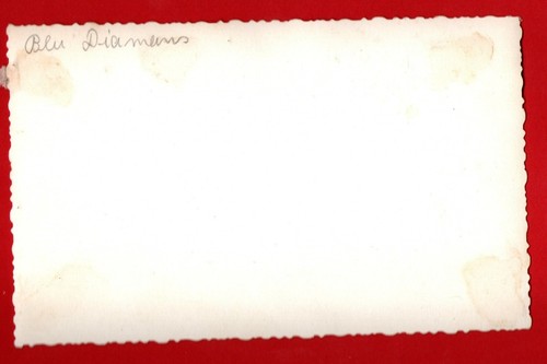BLUE DIAMONDS ➔ AK ohne Autogramm ➔ DDR ➔*aus Sammlung* - Picture 2 of 2