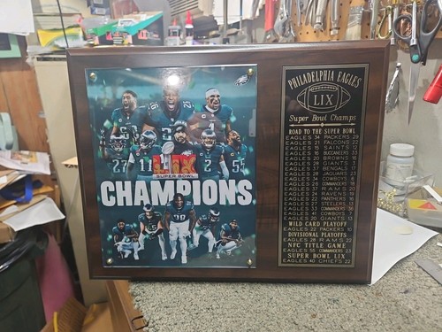 Philadelphia Eagles 2024-2025 Super Bowl 59 Champions 12" x 15" Plakette LIX - Bild 10 von 10