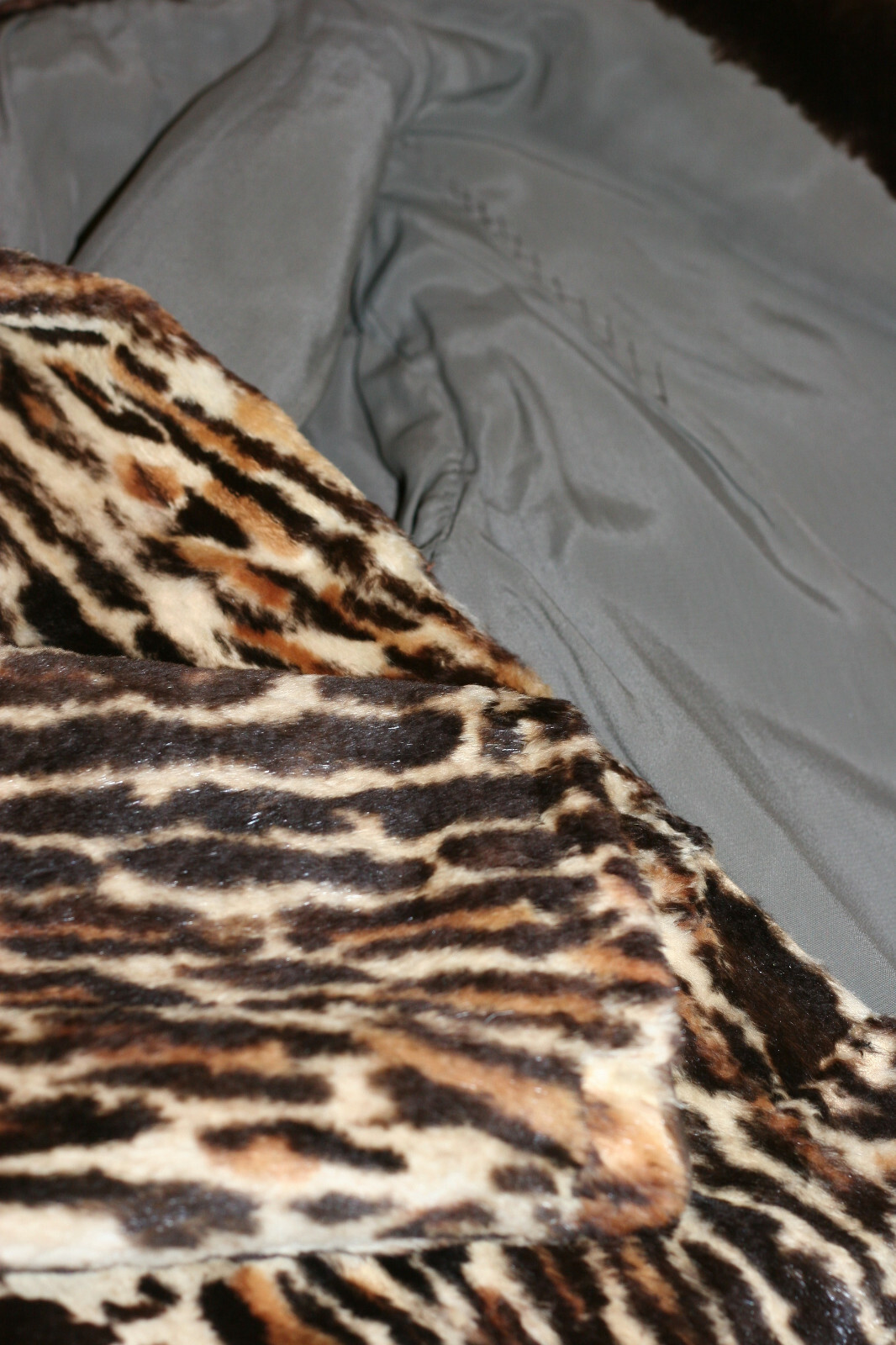 Bild 8 von 8