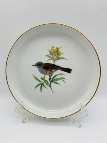 Meissen Schwertermarke 1. Wahl Wandteller Ø 17cm Vogelmalerei 9 Motive Goldrand - Bild 9 von 18