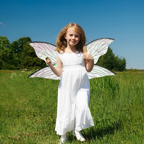 Fairy Wings Solid Princess Angel Wing Fairy Wings Costume for Adults Women Girls - Picture 3 of 32