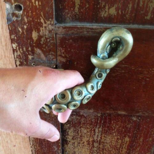 Bonitas manijas de puerta de pulpo de colección - Imagen 3 de 10