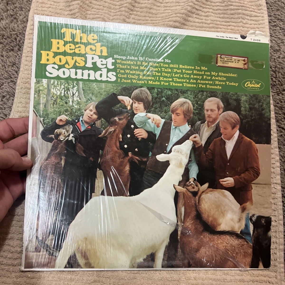 Las mejores ofertas en Vinilo Pet Sounds | eBay