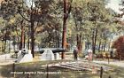 New ListingChicago Il Illinois Garfield Park Flower Us Victory Flag Vtg Postcard C41