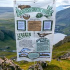 TEA TOWEL Scottish Country Foods Cotton Recipes Haggis Poacher's Dunluce NEW