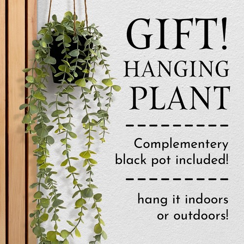 Set of 6 Artificial Succulents with Hanging Plant Fake Succulent Plants Decor - Picture 3 of 8