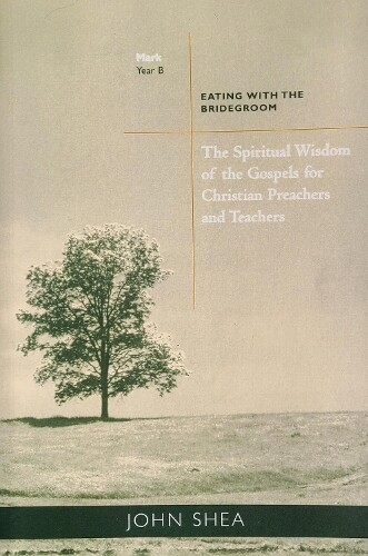 John Shea The Spiritual Wisdom Of Gospels For Christian Preachers
