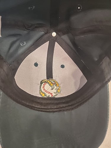 Boise Hawks MILB Snapback Mütze Cap grün Stadium Game Giveaway - Bild 5 von 7