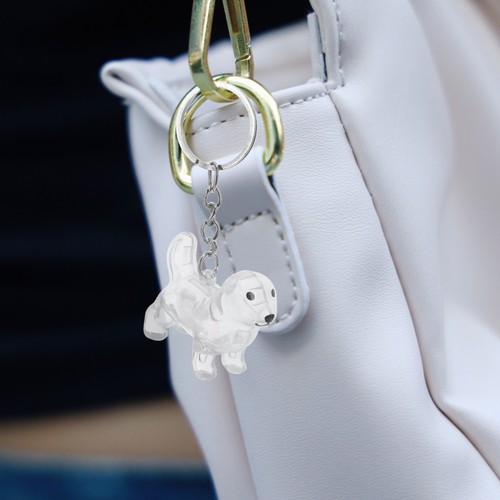 2 Pcs Dog Hair Keepsake Transparent Pet Storage Box Keychain Organizer - Bild 6 von 12