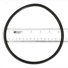 Hayward Strainer Cover O-Ring for EcoStar-EcoStar SVRS (SPX3200S)