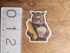 CAT Sticker Funny Sticker Funny Decal Meme Sticker Meme Decal Joke