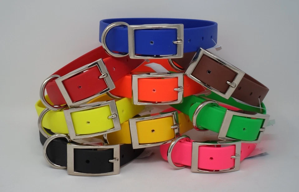 OMNIPET 100A Regular Dee Beta 1" Collar for Hunting Dogs or Pets "Free Brass Nameplate"