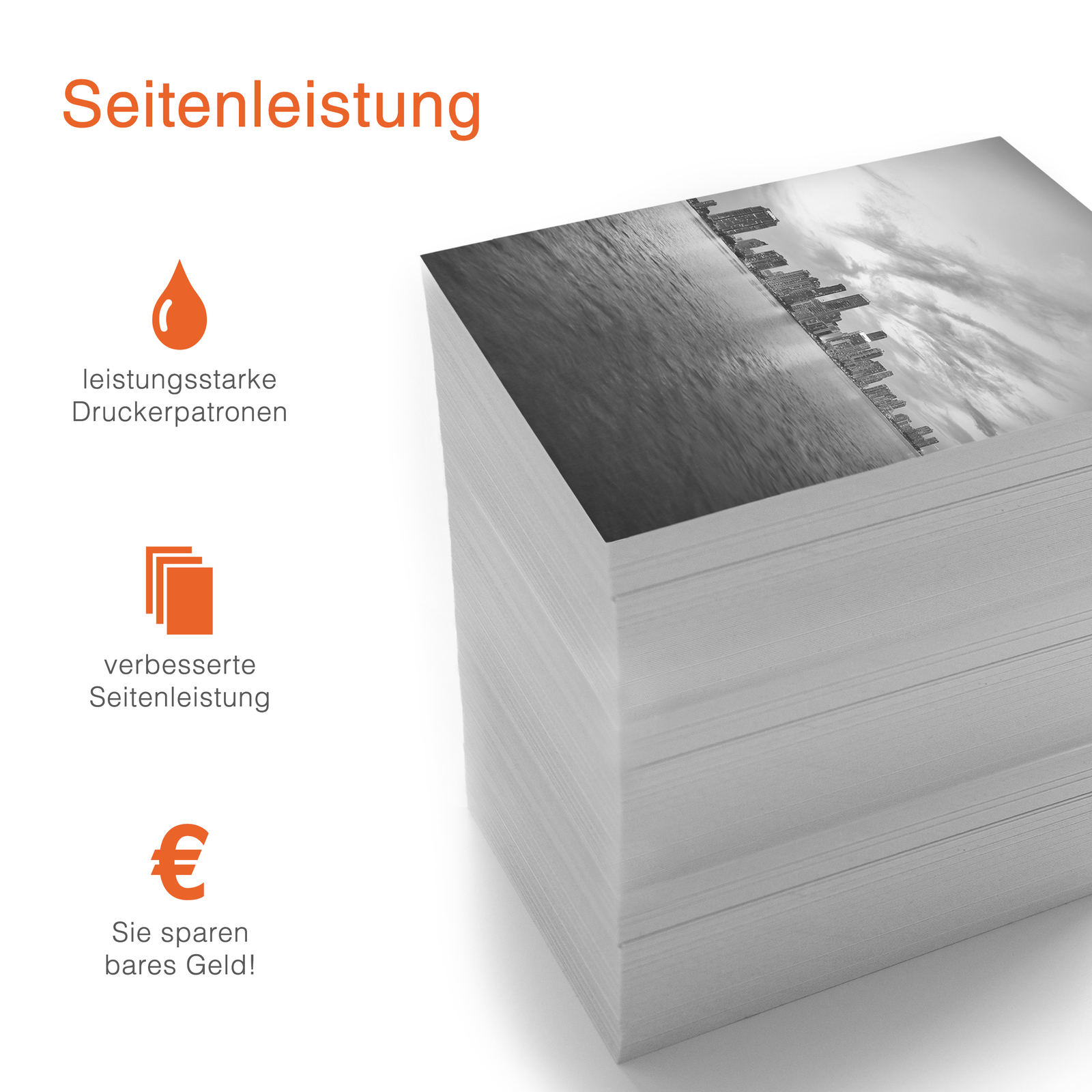 Bild 9 von 12